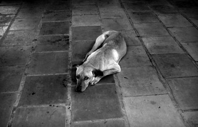 DSCF1672.jpg