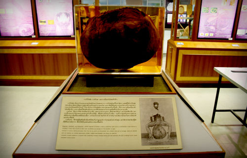MG_4514.jpg