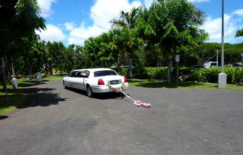 P1000456.jpg